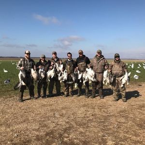 Meet your Posher, Asa